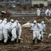 Phát hiện thêm thực tập sinh Việt dọn rác phóng xạ ở Nhật
