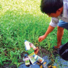Uống nước nhiễm độc thuốc diệt cỏ, 73 người nhập viện