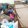 Đồng Nai: Hàng trăm tấn cá chết trắng sông