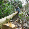 Nhiều dự án 'xẻ thịt' đất rừng trái phép tại Phú Yên