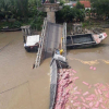 Cầu Tân Nghĩa ở Đồng Tháp sập nhịp giữa, 2 xe chở hàng rơi xuống sông