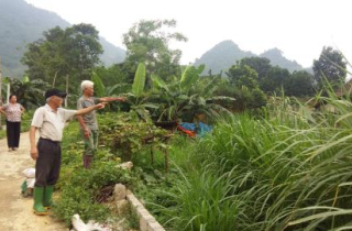 Cán bộ 'ăn' cả ao cá lẫn đất công: Giải thích nóng