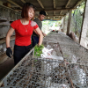 Nam Định: Gái xinh nuôi 700 cục bông di động, kiếm chục triệu/tháng