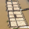 1.000 tấn cá chết ở Đồng Nai: Nguồn nước sạch của TP.HCM có bị ảnh hưởng?