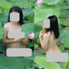 Nhiếp ảnh gia nói vụ cô gái khỏa thân ở hồ sen: Người chụp ảnh mới đáng trách?
