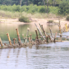 Dân Thừa Thiên - Huế dỡ bỏ 'trận địa' cọc tre chống tàu hút cát trên sông
