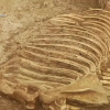Giải mã bí ẩn hàng chục mộ cổ gần 3.000 năm tuổi ở Trung Quốc