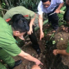 Thông tin bất ngờ về kho báu 3 tấn vàng trong hang đá ở Lạng Sơn