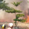 Cháy rừng giữa trưa nắng ở Đà Nẵng, hơn 200 người vật lộn 3 tiếng đồng hồ dập lửa
