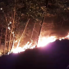 22 tiếng đồng hồ chìm trong biển lửa, 107 ha keo lá tràm ở Quảng Nam bị thiêu rụi