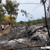 Một ngày xảy ra 3 vụ cháy rừng, hàng trăm người dân Quảng Ngãi căng mình dập lửa