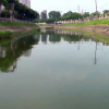 Đề xuất lấy nước sông Hồng 'giải cứu' sông Tô Lịch, phát triển tuyến buýt đường thuỷ