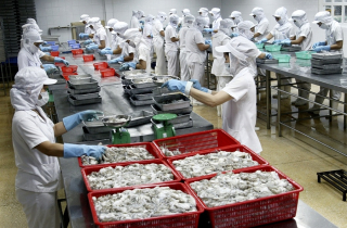 Dòng chảy FDI