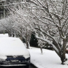 ‘Gió Nam Cực’ đáng sợ sắp đổ bộ Australia, tuyết rơi sau nhiều thập kỷ