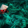 Những bức ảnh đẹp của Việt Nam được National Geographic đăng tải