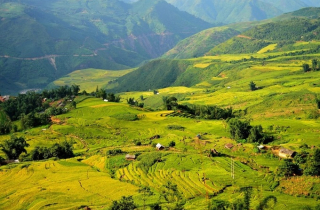 Lịch \'săn\' lúa chín ở Sa Pa, Mù Cang Chải