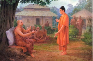 Chỉ vì một con gà