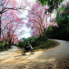 Những cung đường đẹp tại Thái Lan: Lái xe 100km quanh co ở Mae Sa – Samoeng
