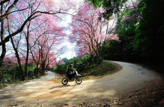 Những cung đường đẹp tại Thái Lan: Lái xe 100km quanh co ở Mae Sa – Samoeng