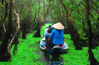 Mùa này về miền Tây ghé rừng tràm Trà Sư là nhất