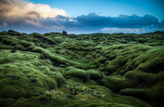 Cánh đồng dung nham như trên hành tinh khác ở Iceland