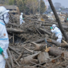 Nhật thừa nhận ca tử vong đầu tiên vì nhiễm xạ Fukushima