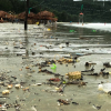 Bãi biển Quảng Ninh, Nghệ An tràn ngập rác