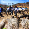 Vụ phá 60ha rừng Bình Định: Từ vua rừng... đến chủ mưu phá hoại