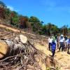 Chủ tịch Bình Định: Phải tìm được kẻ chống lưng 2 vụ phá rừng