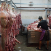 Không phải chợ, mà chính kế hoạch đeo vòng cho heo đang thất thủ!