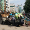 Trung tâm xử lý từ chối tiếp nhận, đường phố Hạ Long ngập rác