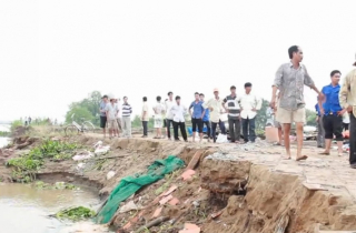 Hàng loạt căn nhà trôi xuống sông Cổ Chiên