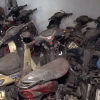 Hơn trăm xe máy bị vứt bỏ trong bến xe ở Sài Gòn