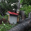 Gần 170 căn nhà ở TP HCM tốc mái sau trận mưa giông