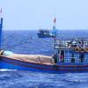 Bắt 3 tàu cá chở 190.000 lít dầu trái phép trên biển