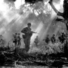 Tại sao Mỹ không nghĩ đến biện pháp đốt rừng trong chiến tranh Việt Nam?