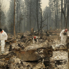 48 người chết vì cháy rừng ở California, nhà xác di động được thiết lập