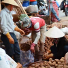 Bộ Công Thương: 'Không có chế tài xử lý nông sản đội lốt hàng Việt'