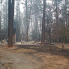 Cuộc tháo chạy 16 tiếng khỏi cháy rừng California của người phụ nữ gốc Việt