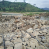 Đập tràn bị vỡ do mưa lũ, 80ha ruộng không có nước gieo sạ