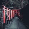 Một góc nhìn lặng lẽ đầy ám ảnh về một cố đô Kyoto Nhật Bản cổ kính