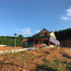 Nghệ An: Đất lâm nghiệp bị xẻ thịt, xây nhà trái phép