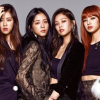 Blackpink tặng túi đắt tiền cho nhân viên làm quà năm mới