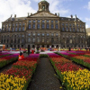 Bức tranh rực rỡ sắc màu tại lễ hội hoa tulip Hà Lan