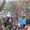 Người dân nô nức ghé thăm phiên chợ hoa Tết lâu đời nhất Hà Nội trong ngày rét ngọt