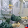 Giới khoa học Trung Quốc tiết lộ bất ngờ về nguồn gốc virus corona