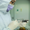 Trung Quốc bắt đầu thử nghiệm vaccine virus Corona trên động vật