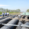 ĐBSCL: Mặn xâm nhập nghiêm trọng, vượt mức báo động