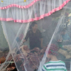 Người phụ nữ quây màn tuyn bán thịt ở Hải Phòng gây \'sốt\' cộng đồng mạng