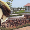 Ca sĩ Hồ Quỳnh Hương bị phạt vì xây dựng khu du lịch trái phép